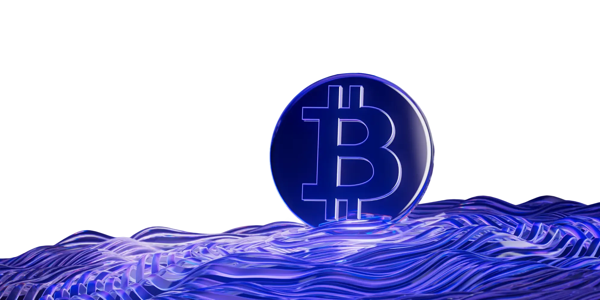 Bitcoin payment rail